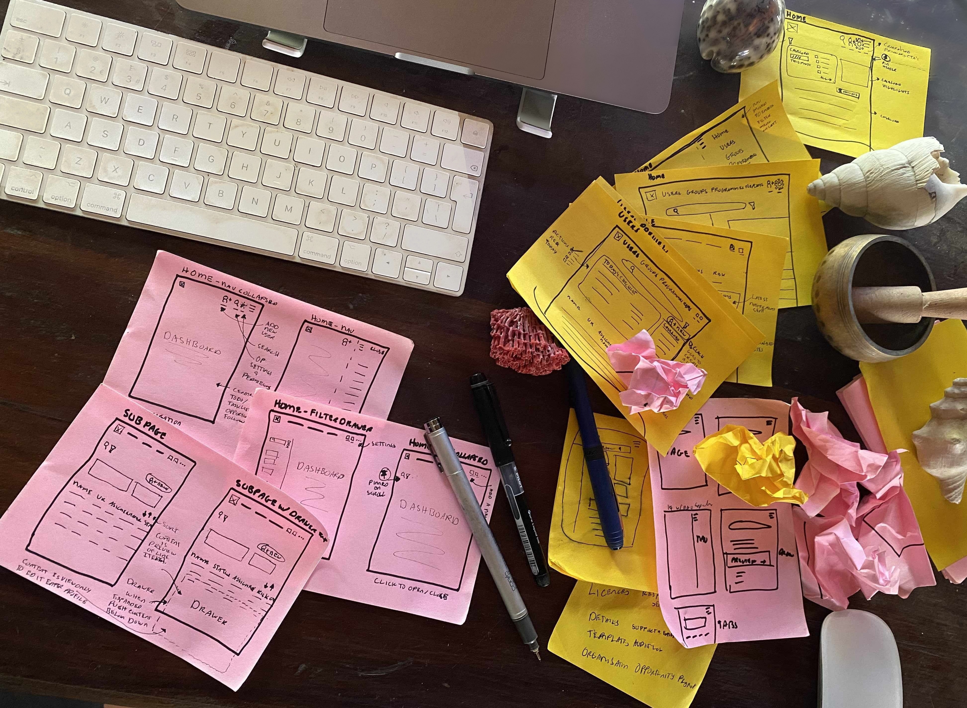 Early Brain in Hand user management scamping and design thinking